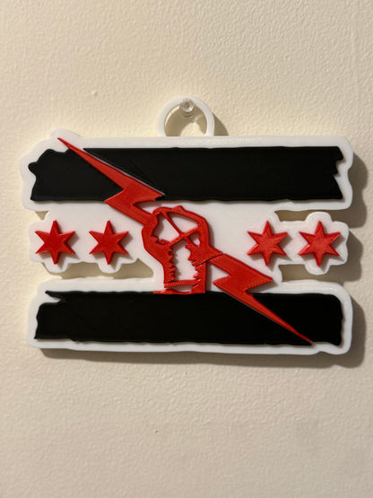WWE Wall Art