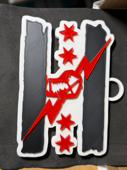 WWE Wall Art