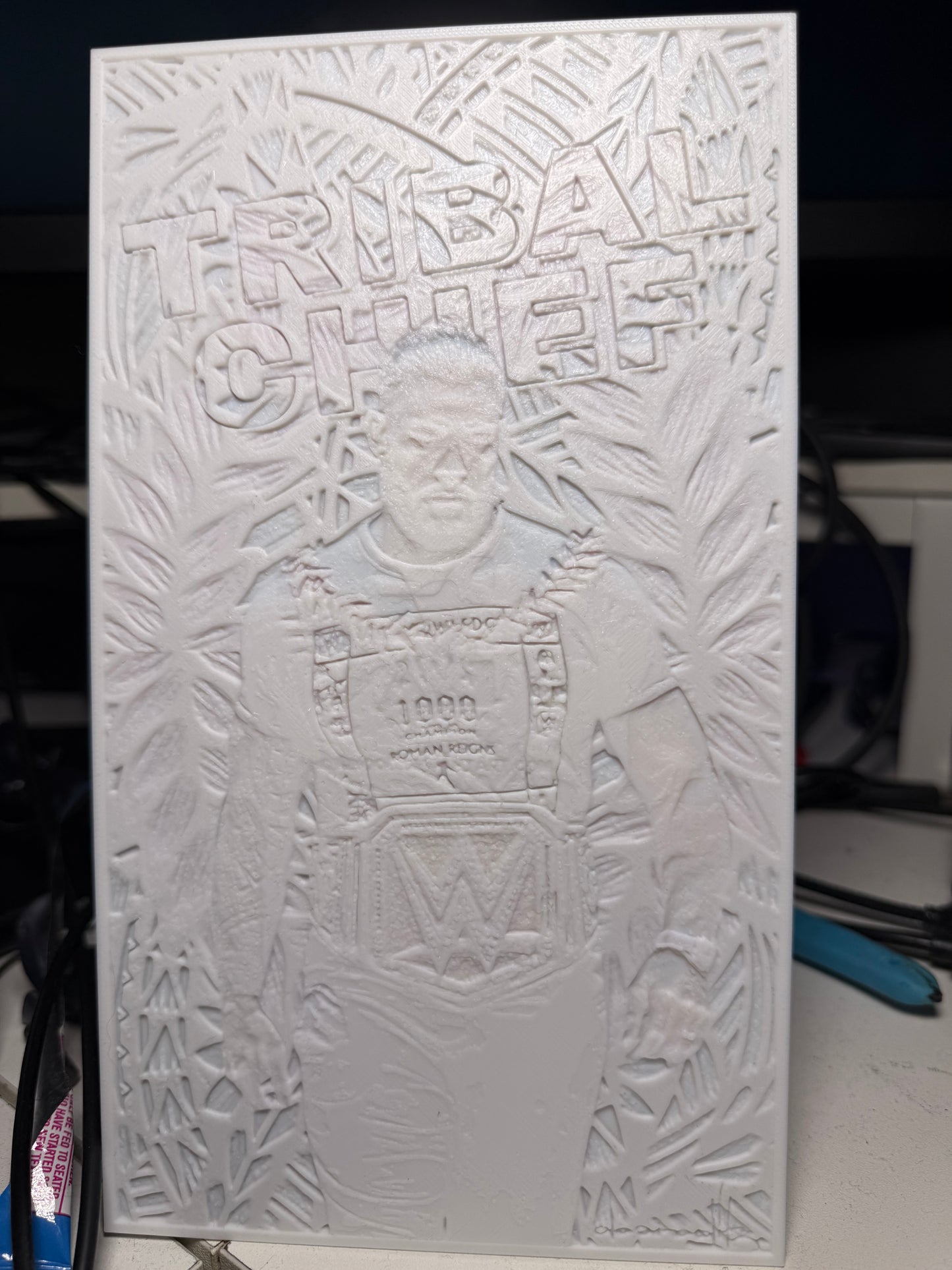 Replacement Lithophanes